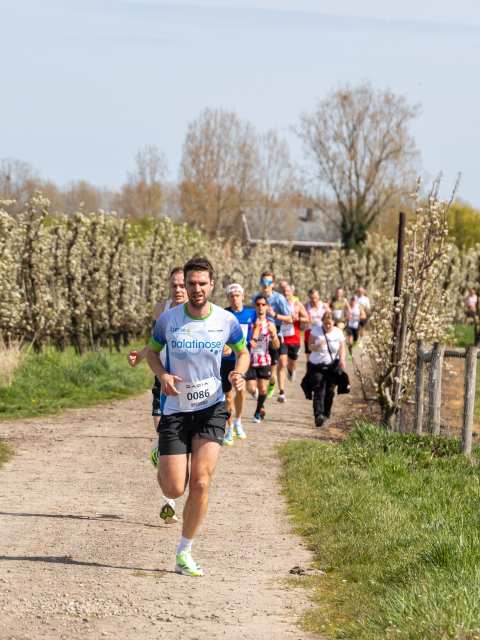 Bloesemrun 2026 foto 25